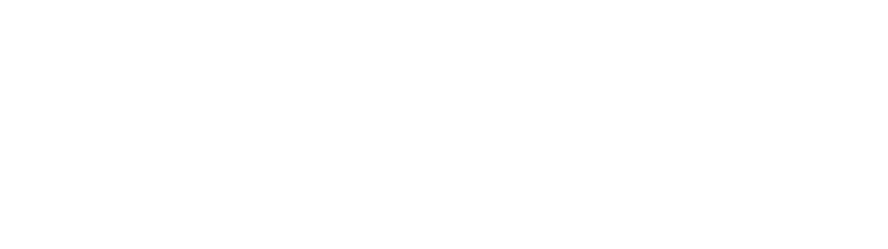 Pine Valley Investments